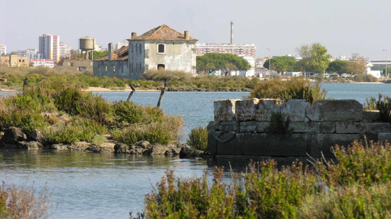 Appartement The Boat Tematico